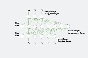  Typisches vorwärts gerichtetes neuronales Netz 