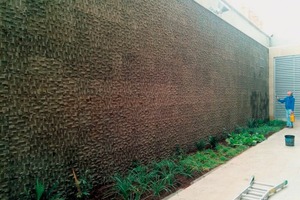  Eine „biologisch aktive“ Mauer 
 