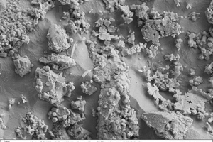  Progress of C-S-H phase formation with and without hardening accelerator. Reference: without accelerator after eleven hours ...  