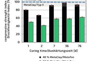  5 Strength activity index of the mortar prisms with cements blended with 40 or 60 wt.-% of industrially produced MetaClay M4 