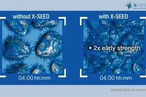  Fig. 2 Scheme of the accelerated formation of hydrates in the presence of X-Seed. 