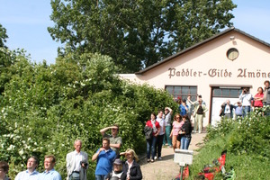  Bei schönstem Sonnenschein beobachten die Gäste die Ruderboote auf dem Rhein 