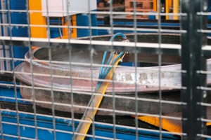  Fig. 7 The steel pallet is oiled at this station. The next pallet is then put on top.  